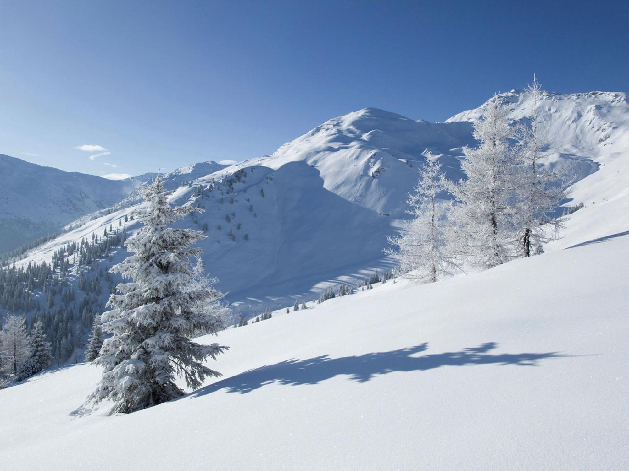 Holiday Flat In Uderns Near The Ski Area Buitenkant foto